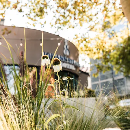 Johann Strauss מלון