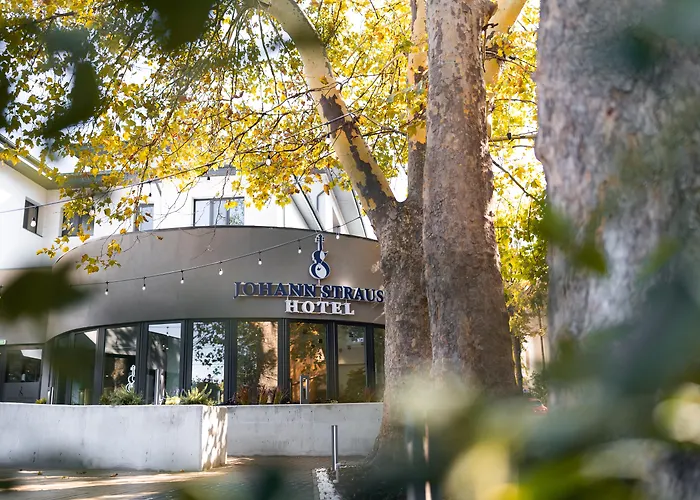 Johann Strauss מלון 3*